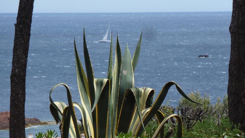 Bastidon Vue Mer Antheor-Cap-Roux Room photo