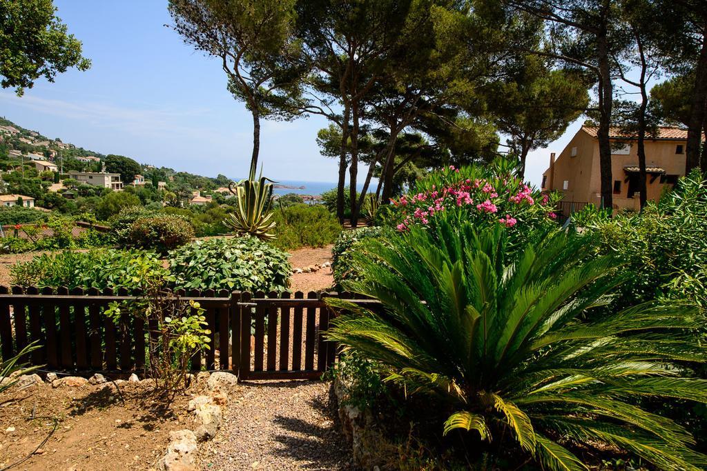 Bastidon Vue Mer Antheor-Cap-Roux Room photo